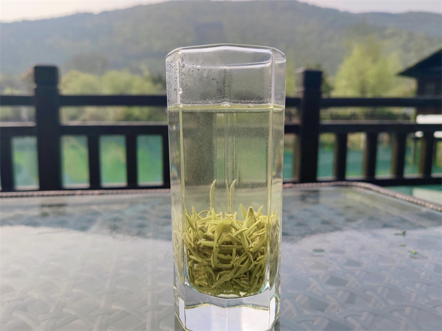 旺山钱家坞碧螺春