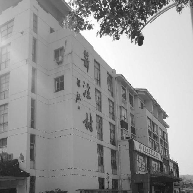 箭泾村美丽乡村建设