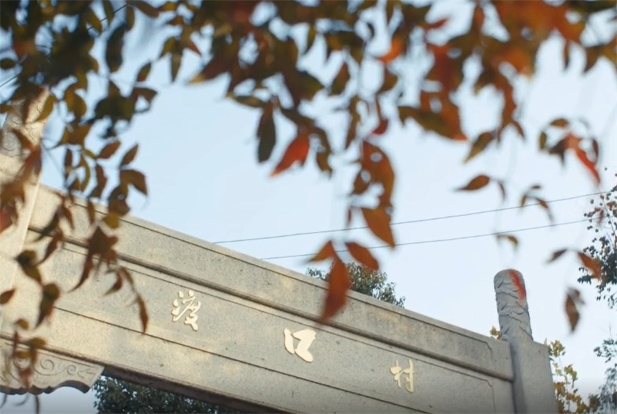 渡口村相册