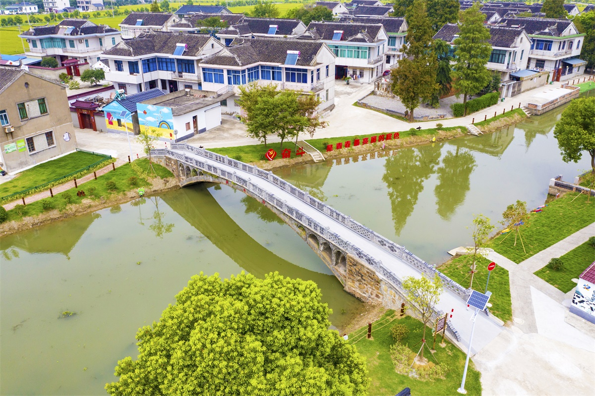 珍南村美丽乡村建设
