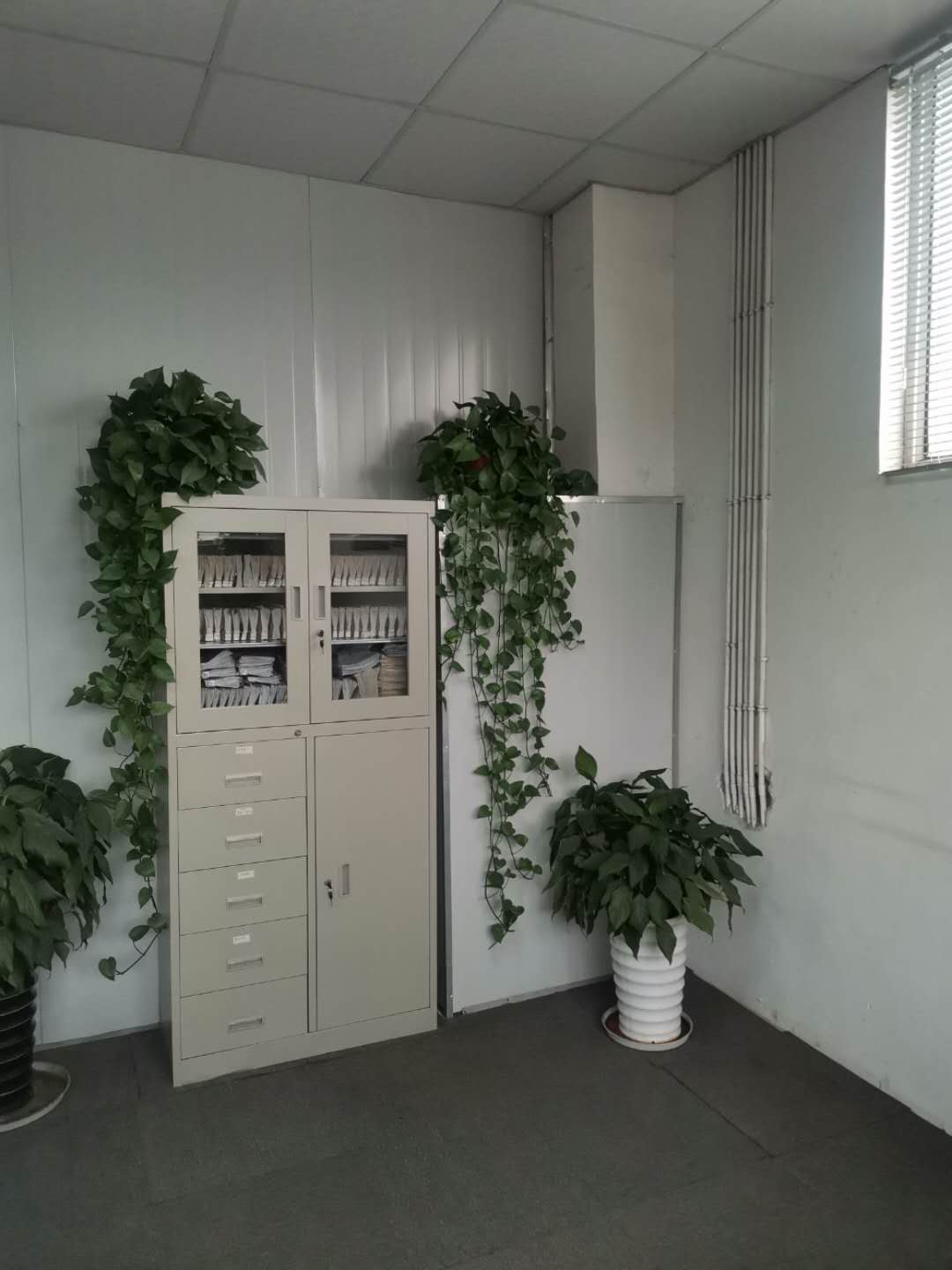 办公环境