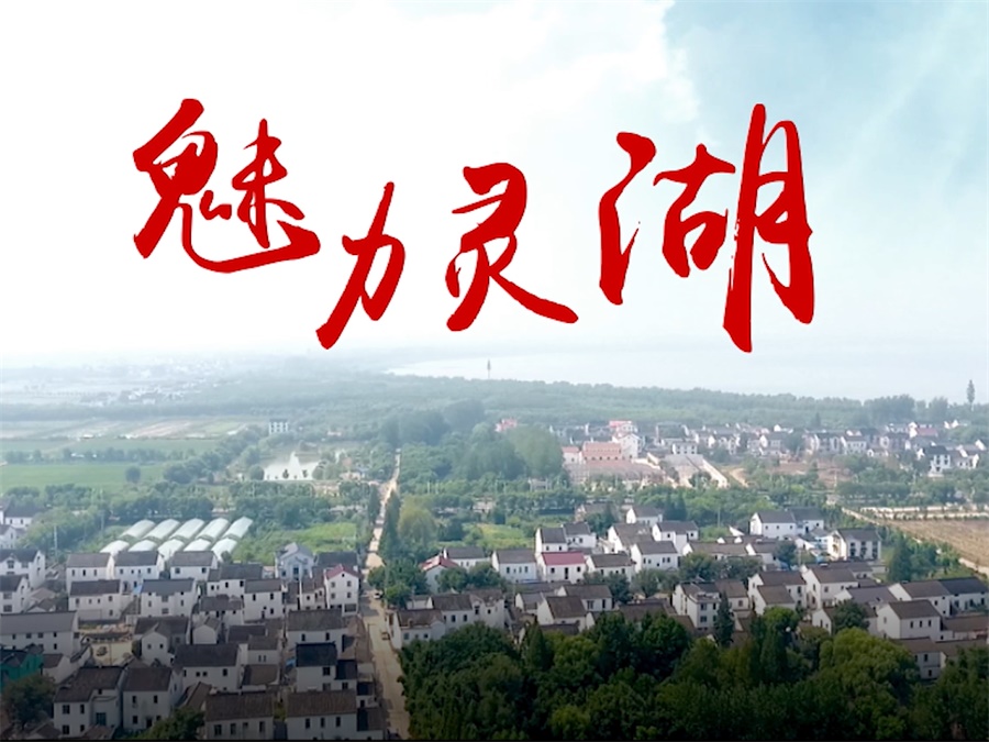 灵湖村美丽乡村建设