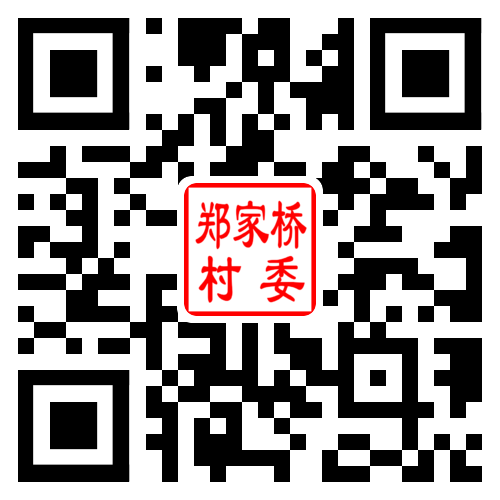 郑家桥村二维码