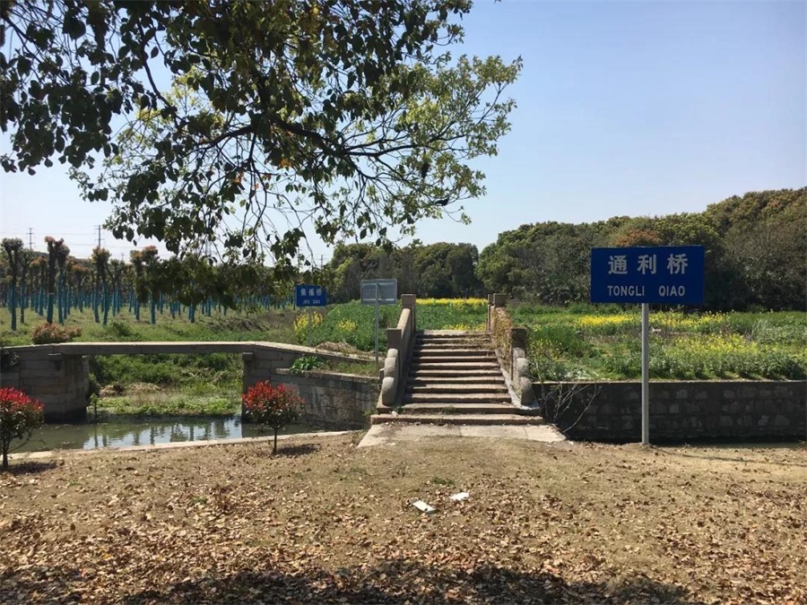 泗桥村相册
