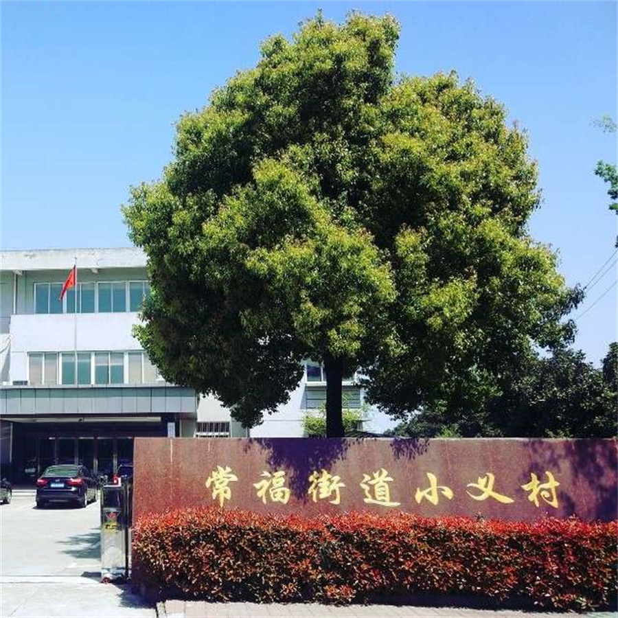 小义村美丽乡村建设