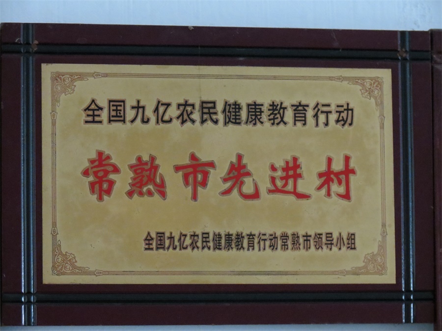 东青村电子荣誉墙
