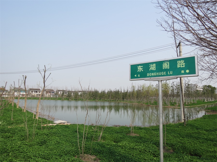 东青村美丽乡村建设