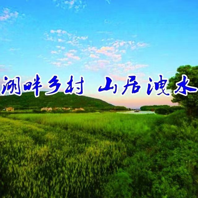 洩水村美丽乡村建设相册