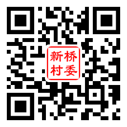 新桥村二维码