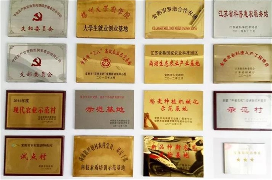 罗墩村电子荣誉墙