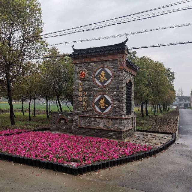 新巷村美丽乡村建设