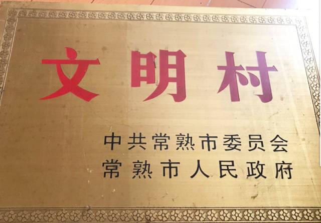 蒋巷镇村电子荣誉墙