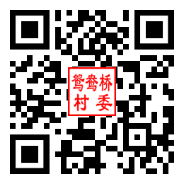 鸳鸯桥村二维码汇总