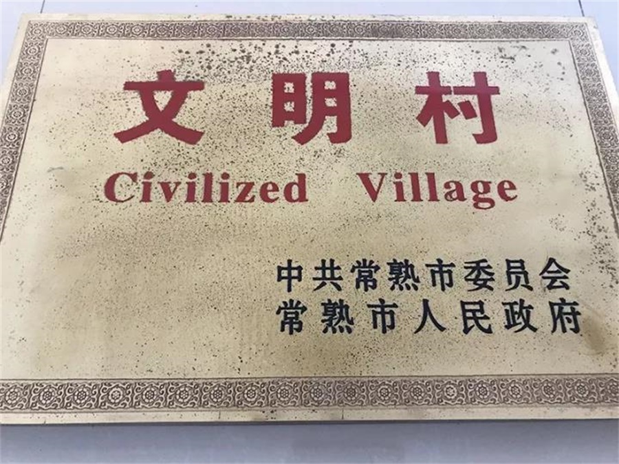 练南村电子荣誉墙