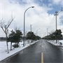 常熟市常福街道蜂蚁村村民委员会