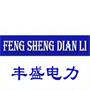 苏州市丰盛电力安装工程有限公司